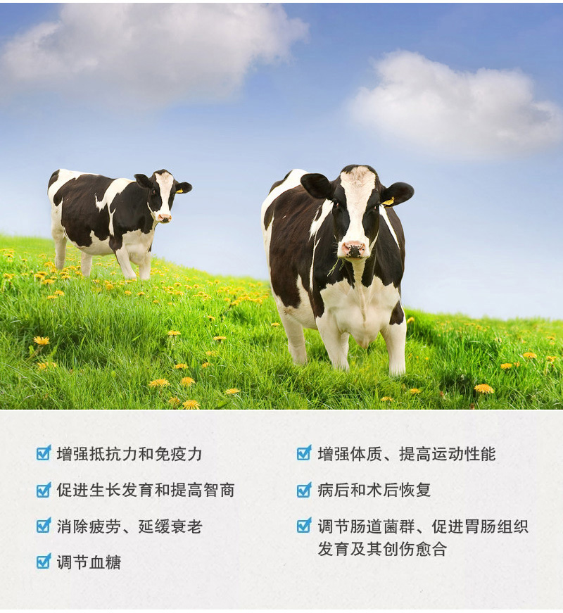 healthy care 牛初乳 奶粉 300g 增强抵抗力 适合抵抗力差的各类人群